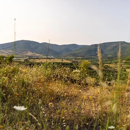 Hébergement de vacances Casa De Sardom3 Bembibre (Castile and Leon)