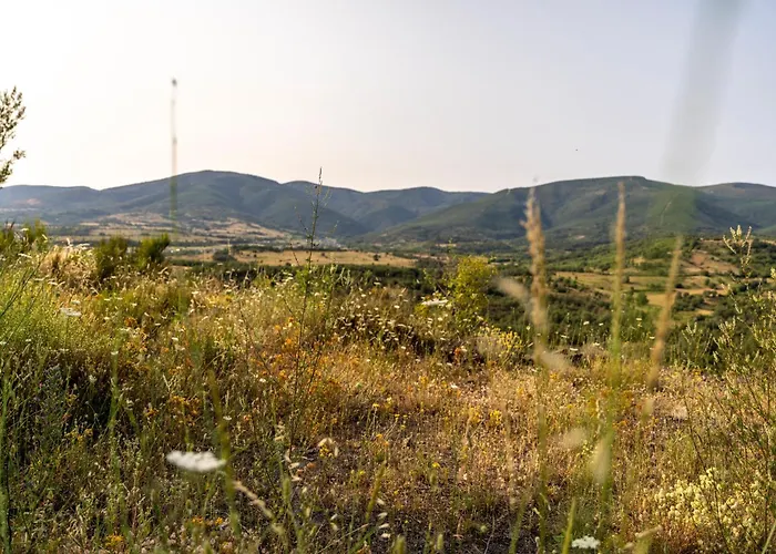 Vakantiehuis Casa De Sardom3 Bembibre (Castile and Leon)